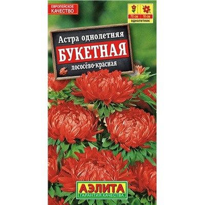 Астра Букетная Лососево-Красная