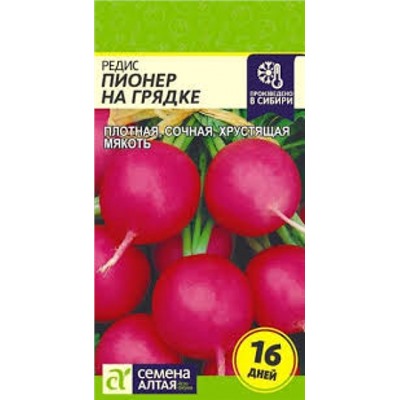 Редис Пионер на грядке (16 дней) (Сем.Алтая) 1гр
