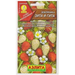 Земляника Зита и Гита (Код: 2308)