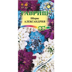 Иберис Александрия смесь (Гавр)