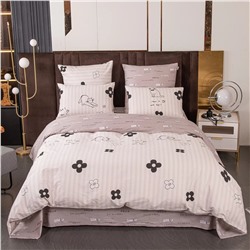 Комплект постельного белья Сатин 100% хлопок C626