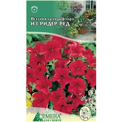 Петуния Из Ридер Ред F1, 5сем (цв)