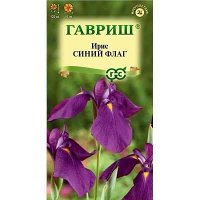Ирис Синий флаг  мн (Код: 91227)
