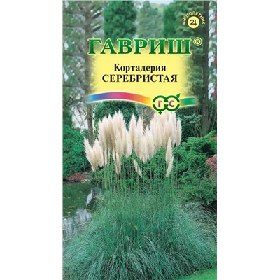 Кортадерия Серебристая (Пампасная трава) (Гавр)