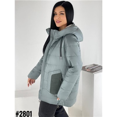 Демисезонные куртки 894315