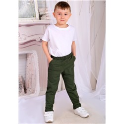 Брюки Тёма 2-205б