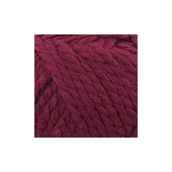 Alpine alpaca