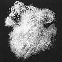 Футболка детская Like a Lion, черная