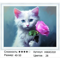 AM45 HWA5310, 40х50 см