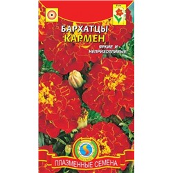 Цв.Барх.Кармен (Плазма) 45шт