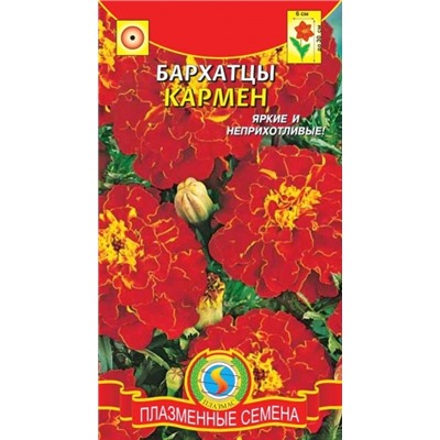 Цв.Барх.Кармен (Плазма) 45шт