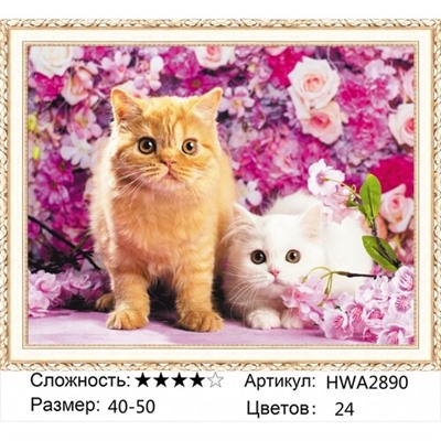 AM45 HWA2890, 40х50 см