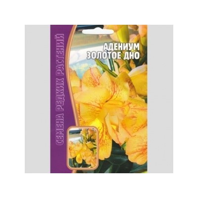Цв.Адениум Золотое дно (Григорьев) 3шт