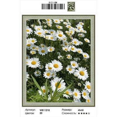 AM45 WB 11218, 40х50 см
