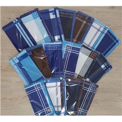 Набор носовых мужских батистовых платков "Джентльмен" 10 шт.  30*30 см  хлопок 100%