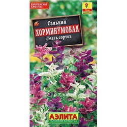 Сальвия хорминумовая смесь (Аэлита)