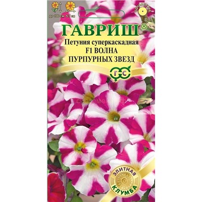Петуния Волна Пурпурных звезд F1 (Минитуния) (Гавр)