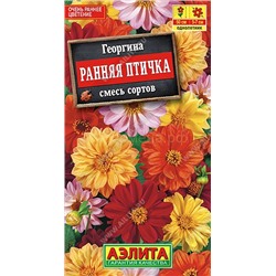 Георгина Ранняя птичка смесь (Аэлита)