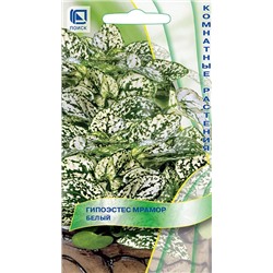 Гипоэстес Мрамор Белый (Код: 93183)