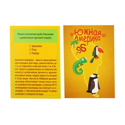 Настольная игра «Викторина. Мир»