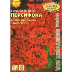Вербена Персифона гибридная (Аэлита)
