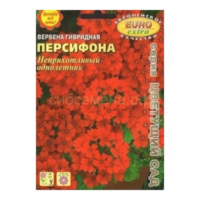 Вербена Персифона гибридная (Аэлита)