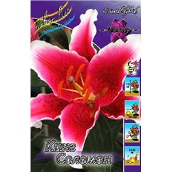 Лилии Кинг Соломон 5шт (ИС) вост