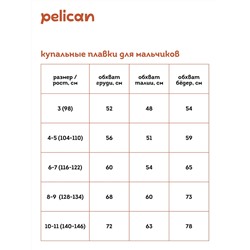 BWHE3352 (Шорты для мальчика купальные, Pelican Outlet )