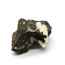 Минерал аммонит 49*35*29мм, 48г (T)