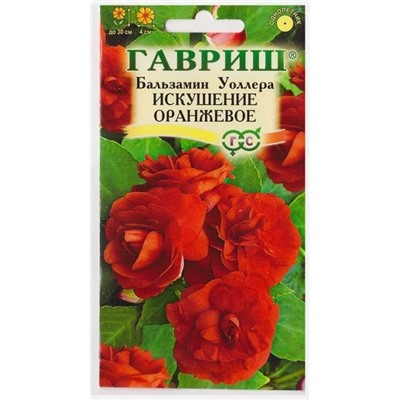 Бальзамин Уоллера Искушение Оранжевое F1 (Код: 69131)