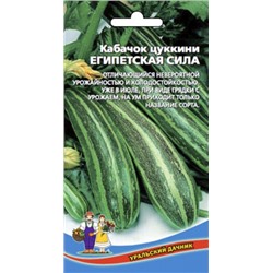 Кабачок Египетская Сила цуккини (УД) 10шт