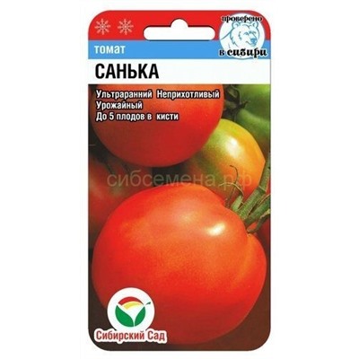 Томат Санька (Сиб сад)