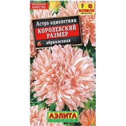 Астра Королевский Размер АБРИКОСОВА