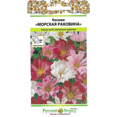 Космея Морская раковина (НК)