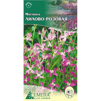 Маттиола Лилово-розовая, 0,5г (цв.)