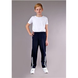 Брюки с лампасами (футер с начесом) 2-206б