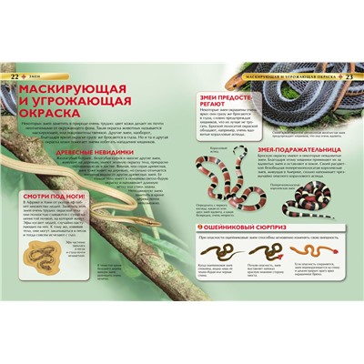 Змеи. Детская энциклопедия