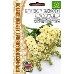 Цв.Маттиола Винтаж Йеллоу (Vintage Yellow) (Григорьев) 5шт