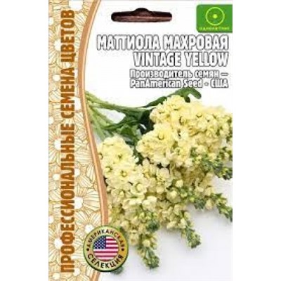 Цв.Маттиола Винтаж Йеллоу (Vintage Yellow) (Григорьев) 5шт