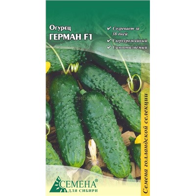 Огурец Герман F1 (Голландия), 5сем (цв.)