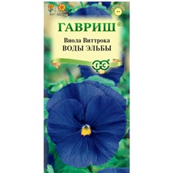 Виола Воды Эльбы Виттрока Гавриш