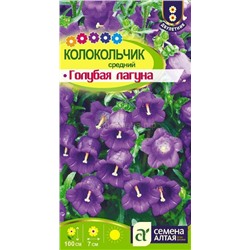 Колокольчик Голубая Лагуна, сред (Алтай)