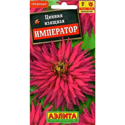 Цинния Император кактусовидная (Аэлита)