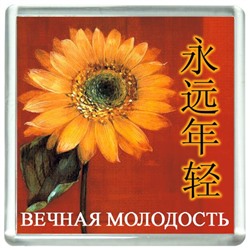 Магнит ВЕЧНАЯ МОЛОДОСТЬ (акрил, 6 на 6 см.), 1 шт.