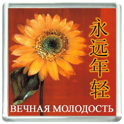 Магнит ВЕЧНАЯ МОЛОДОСТЬ (акрил, 6 на 6 см.), 1 шт.