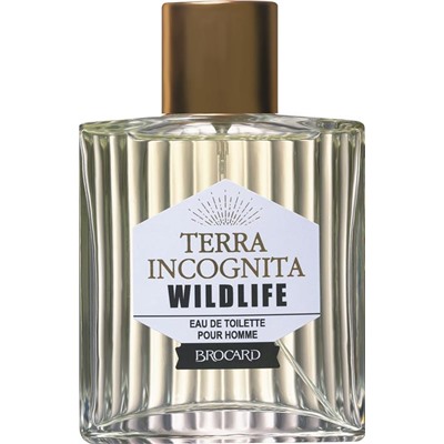 BROCARD TERRA INCOGNITA WILDLIFE /муж M~