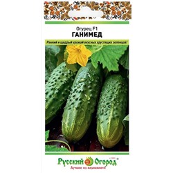 Огурец Ганимед F1 (Код: 93020)
