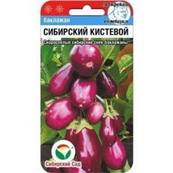 Баклажан Сибирский кистевой (Сиб.сад) 20шт
