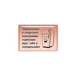 Магнит «Сброшенные в спортзале килограммы терпеливо ждут тебя в холодильнике» (медь, покрытие эмаль), Мастерская Алёшиных, 1 шт.
