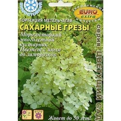 Гортензия Сахарные грезы метельчатая мн. (Аэлита)